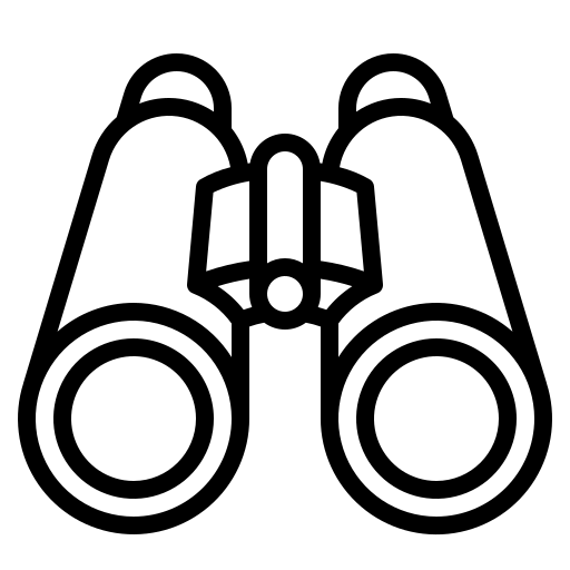 icon visi